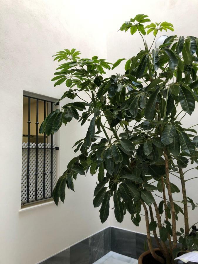 Jano Puertatierra Leilighet Cádiz Eksteriør bilde